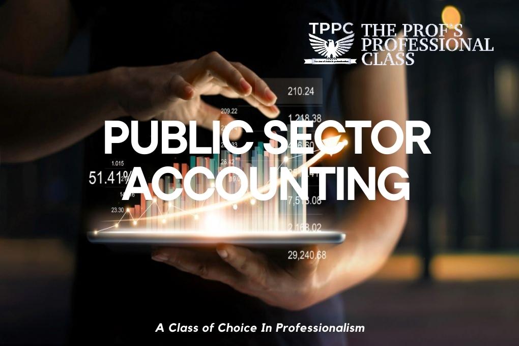 Public Sector Accounting The Profs Professional Consult